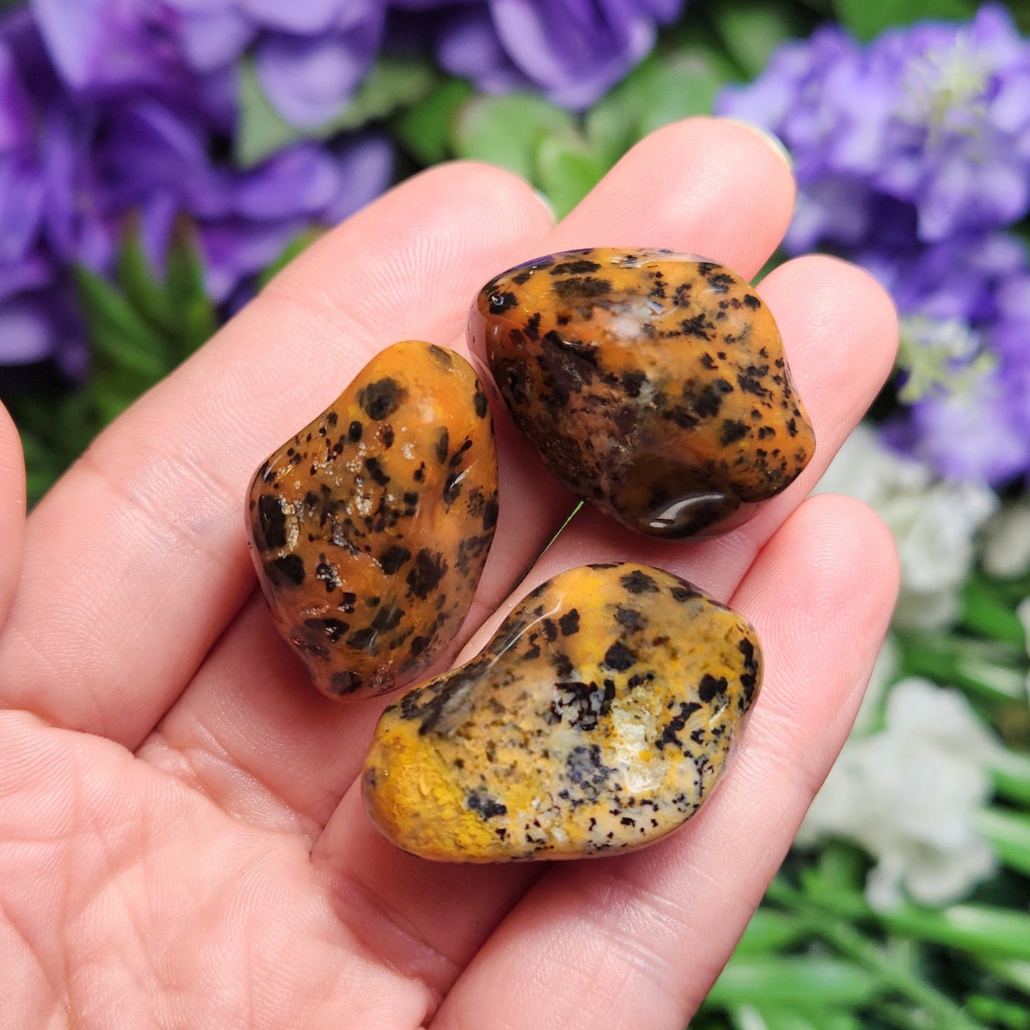 Cheetah Agate Stone