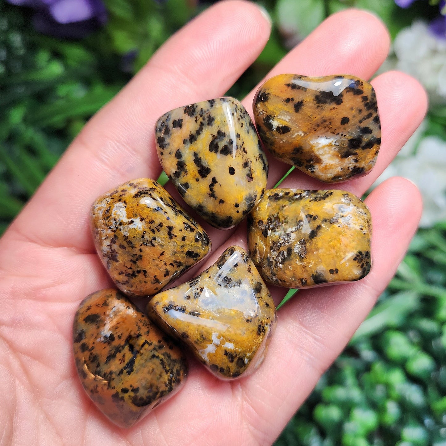 Cheetah Agate Stone