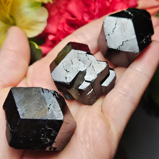 Black Tourmaline Crystal