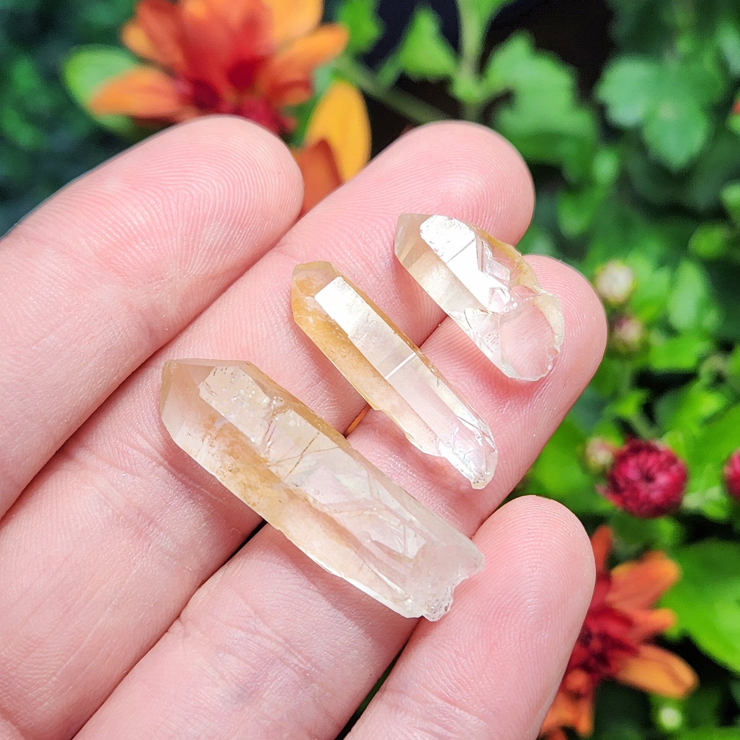 Golden Healer Quartz