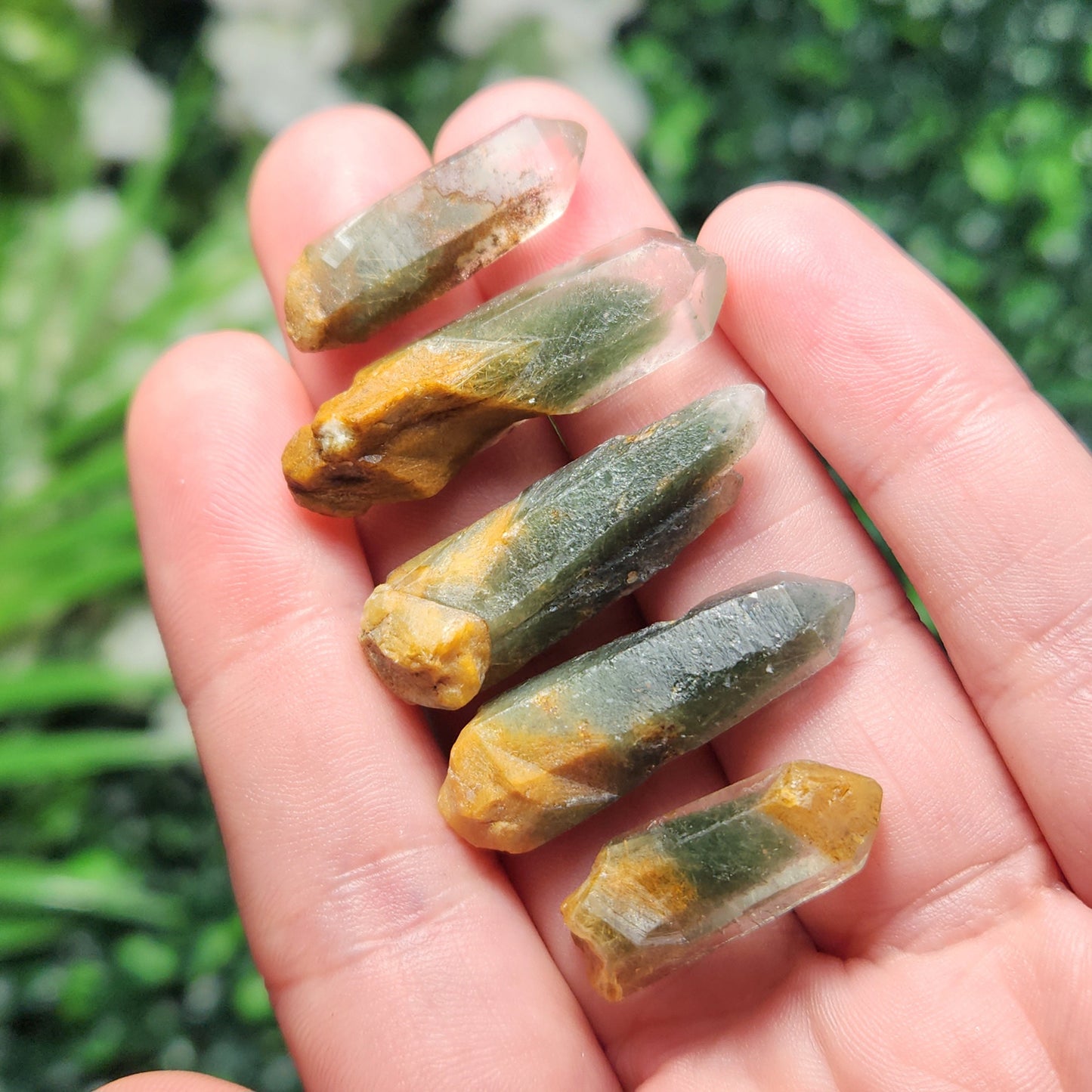 Green Amphibole Phantom Quartz