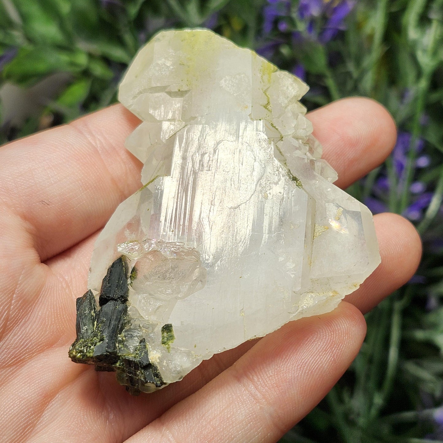 RARE Faden Dream Quartz