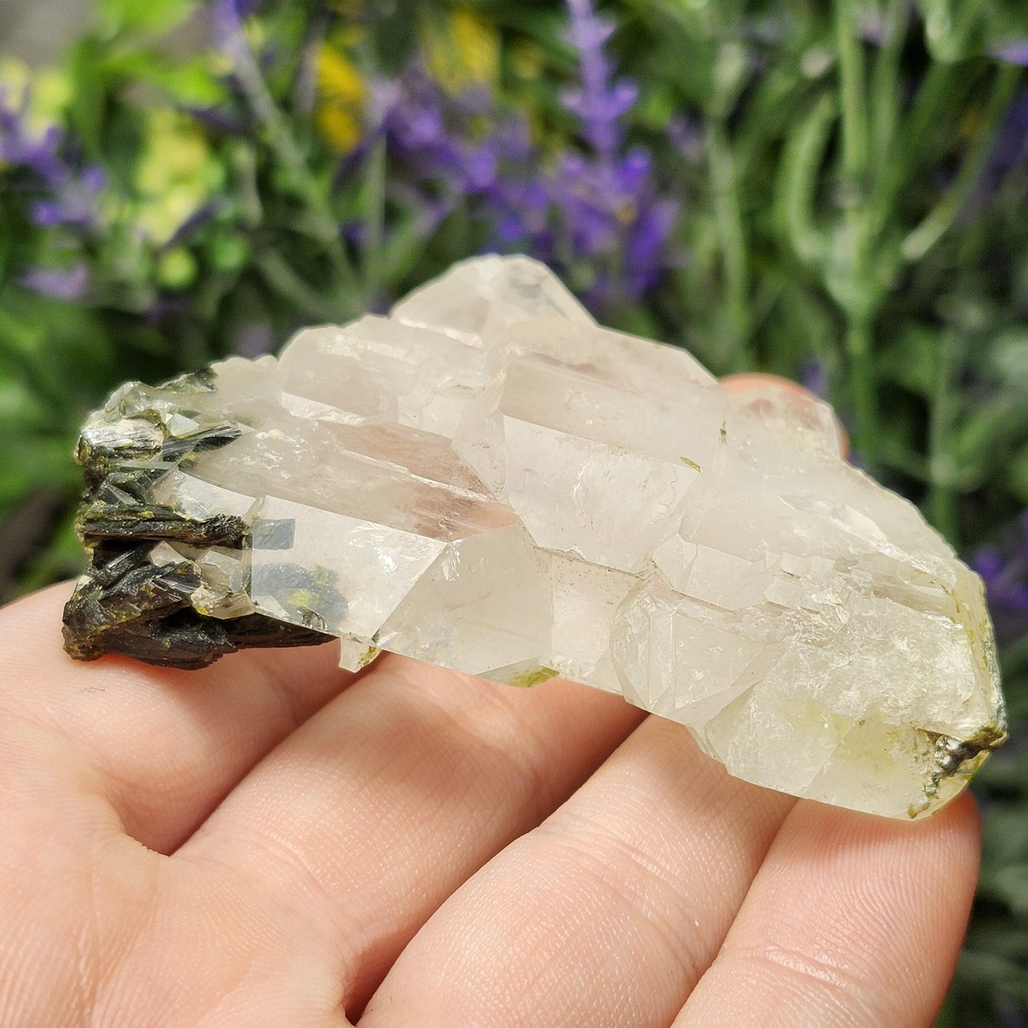 RARE Faden Dream Quartz