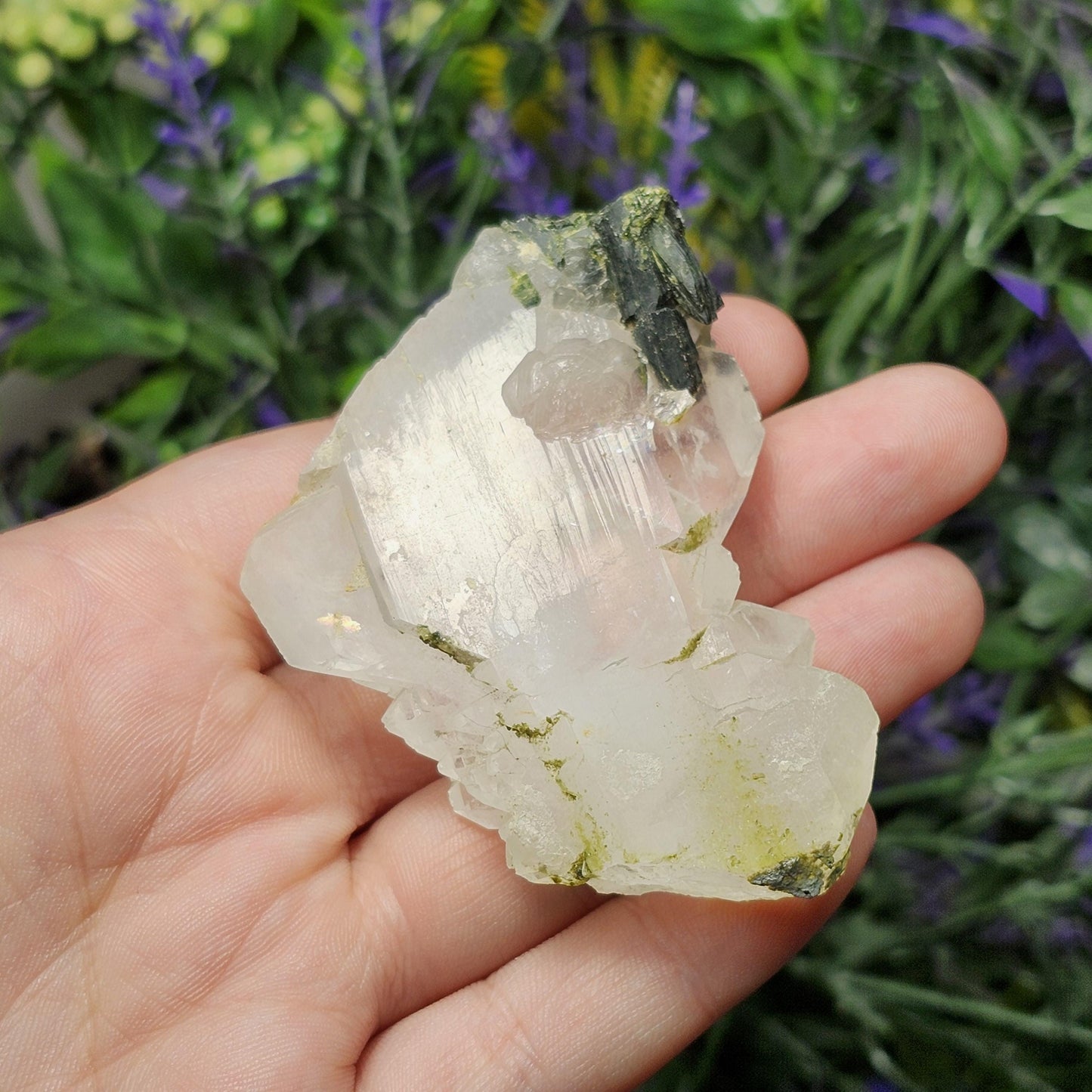 RARE Faden Dream Quartz