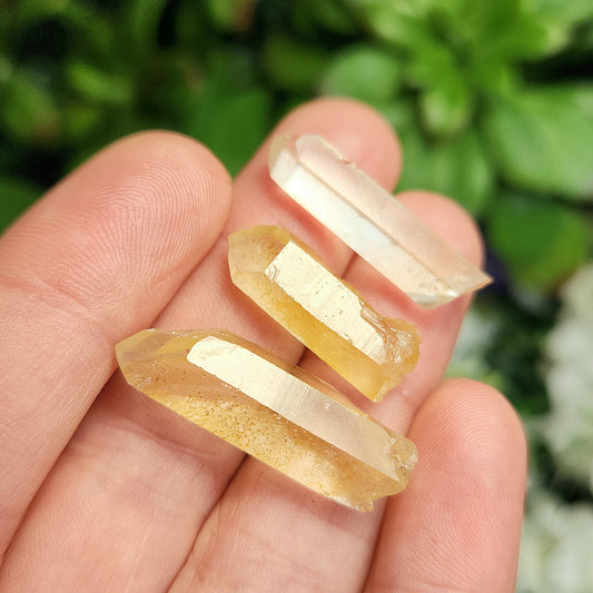 Golden Healer Quartz