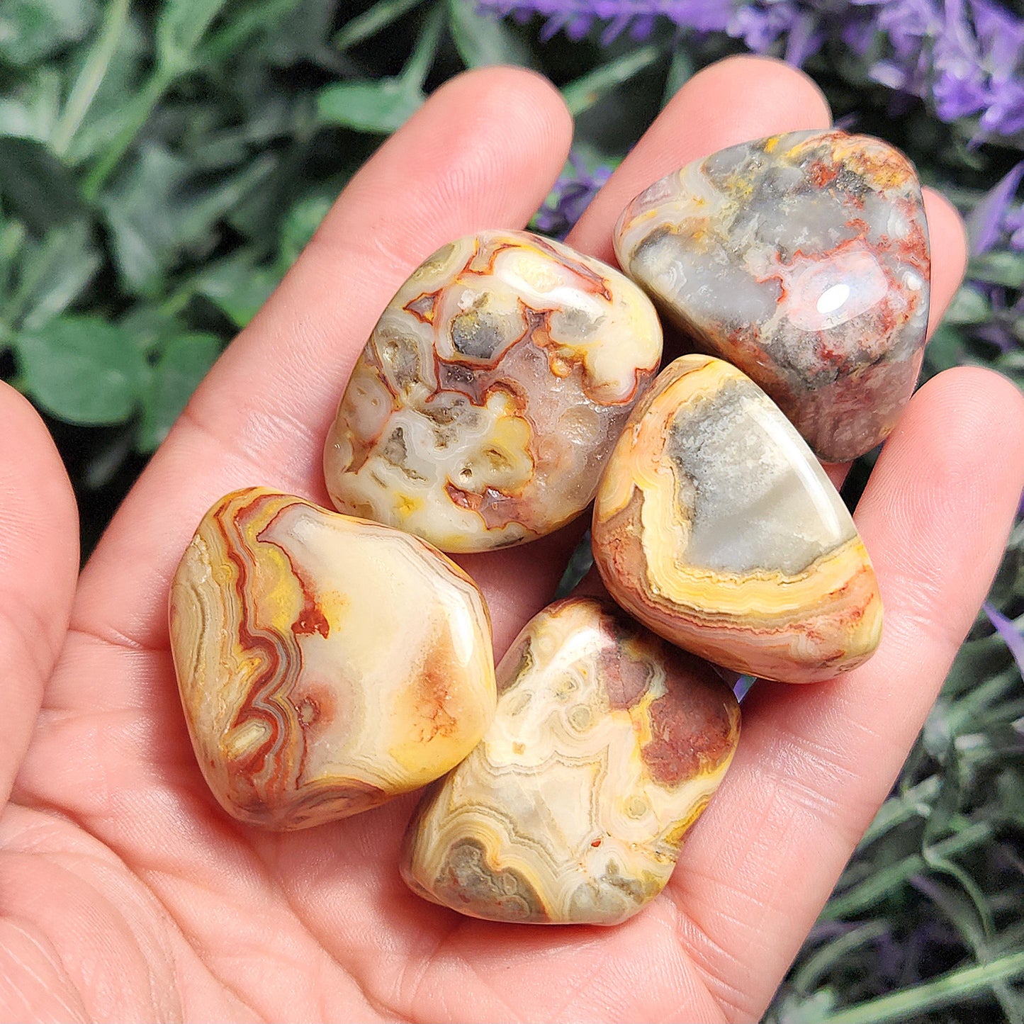 Crazy Lace Agate Crystal