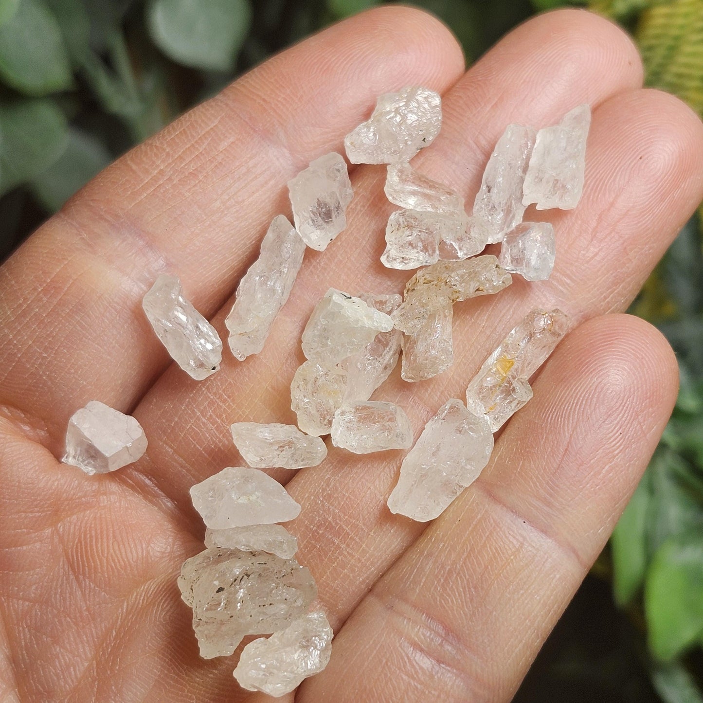 Phenacite Crystal