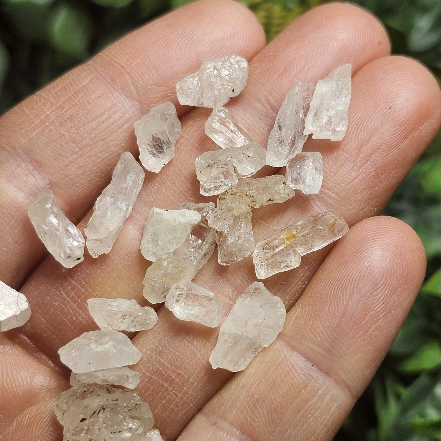 Phenacite Crystal