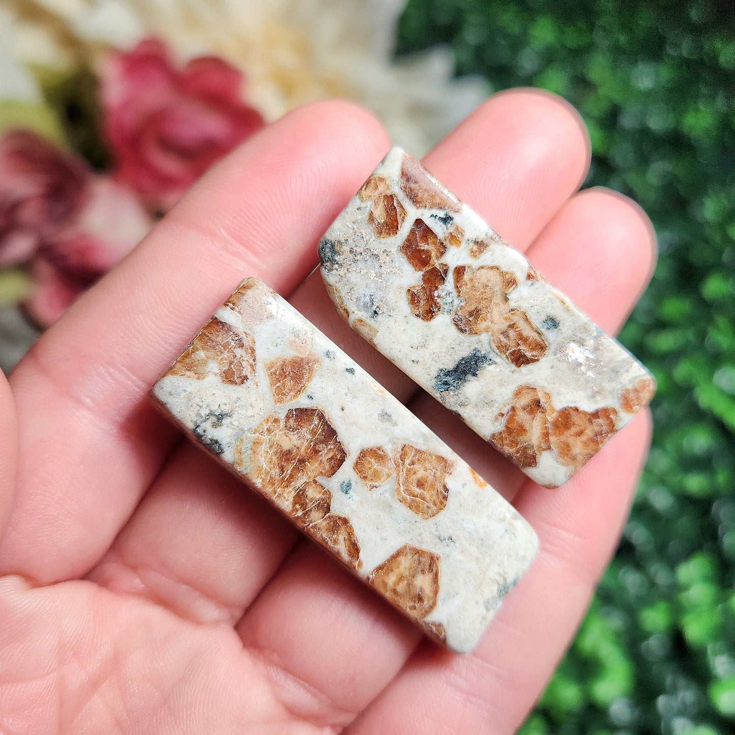 Garnet in Wollastonite