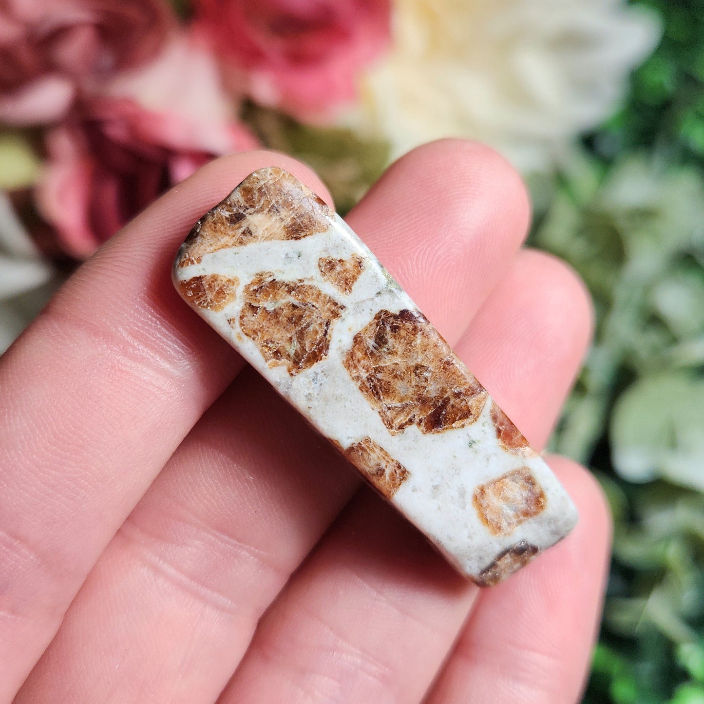 Garnet in Wollastonite