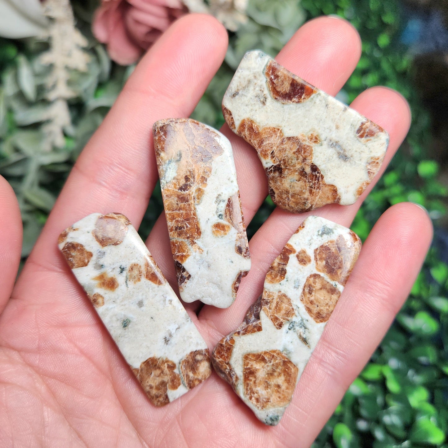 Garnet in Wollastonite
