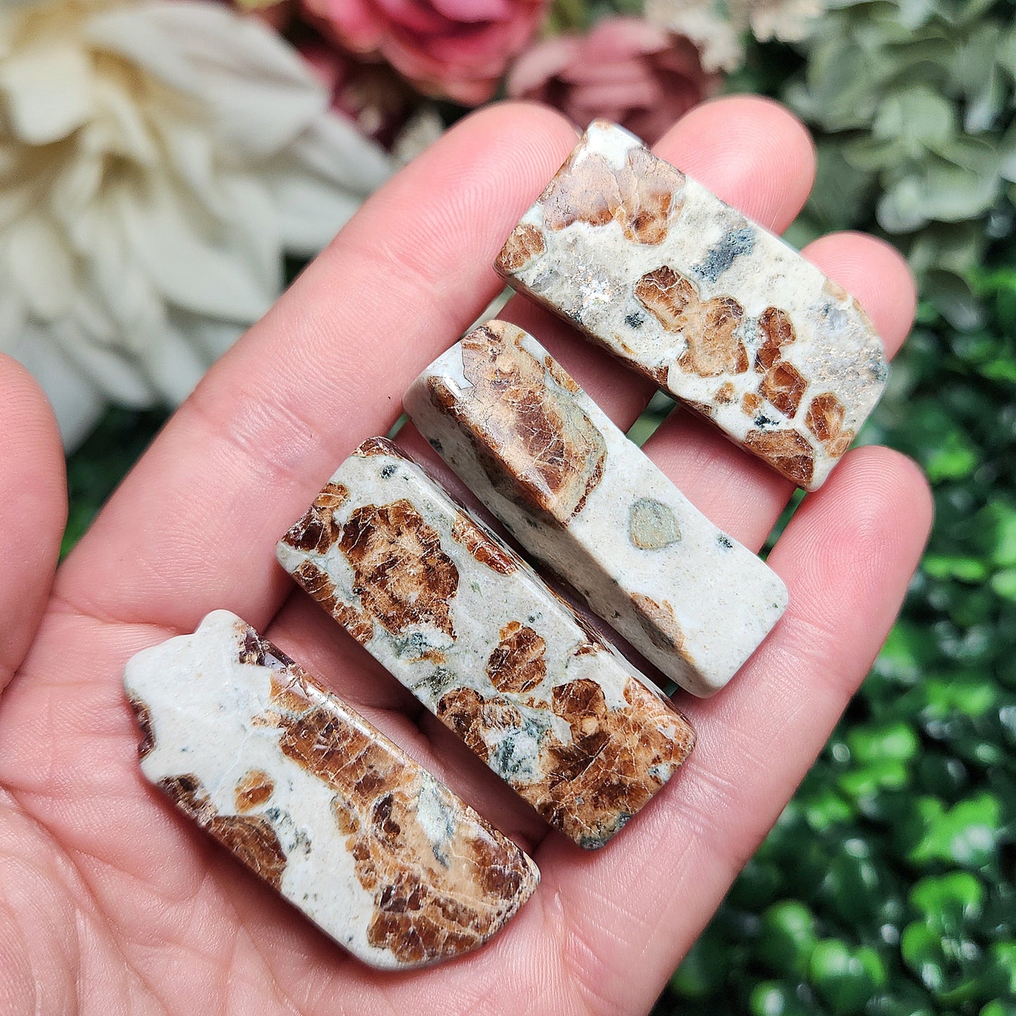 Garnet in Wollastonite