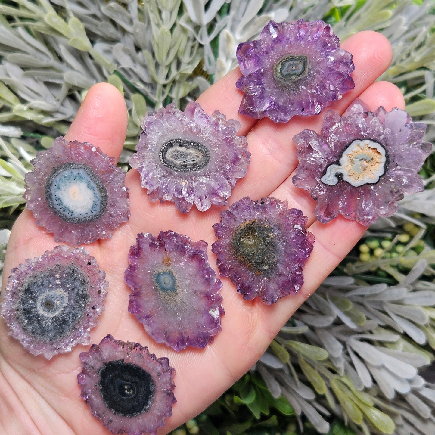 Amethyst Stalactite Slice