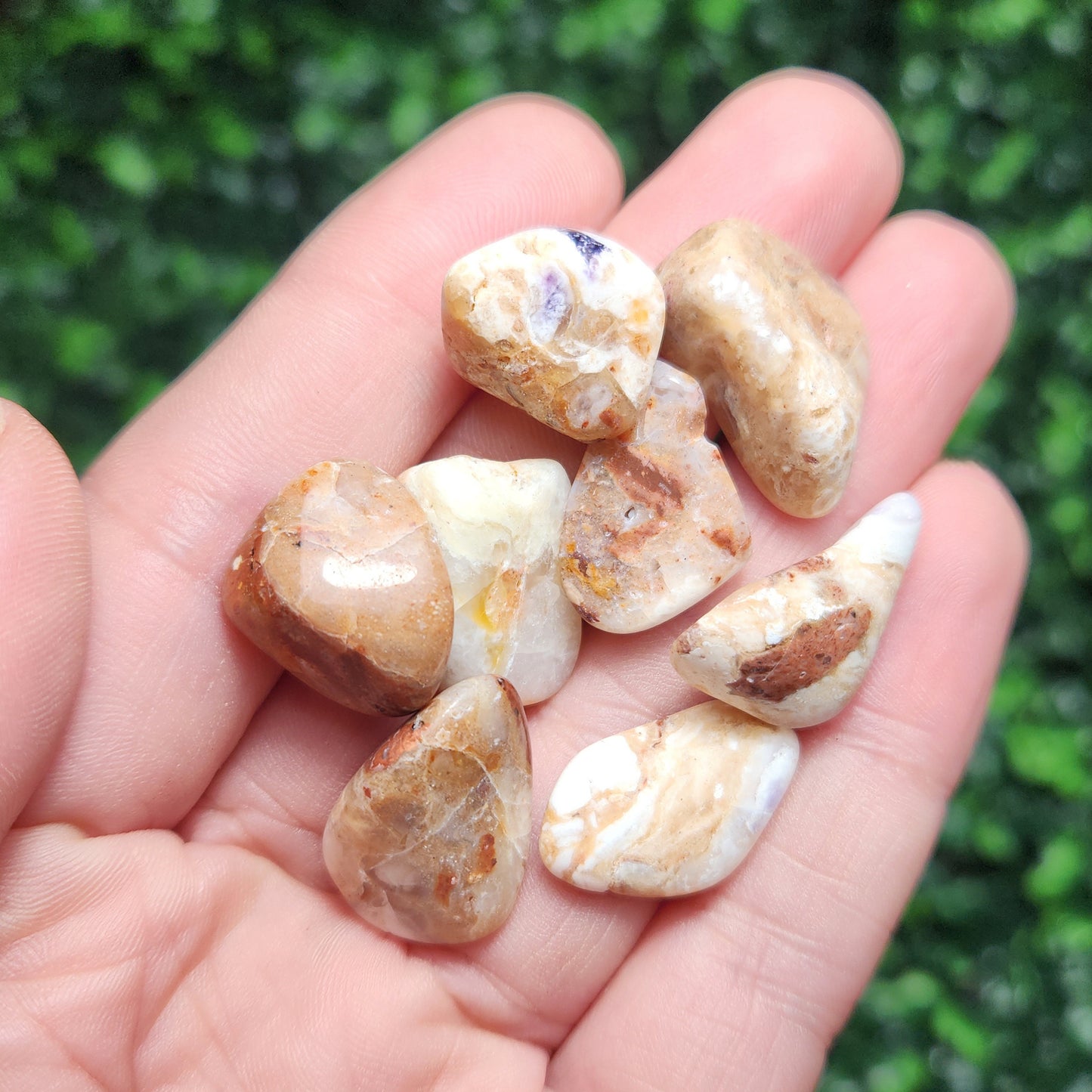 Golden Healer Opal