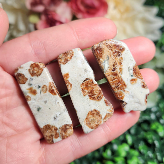 Garnet in Wollastonite