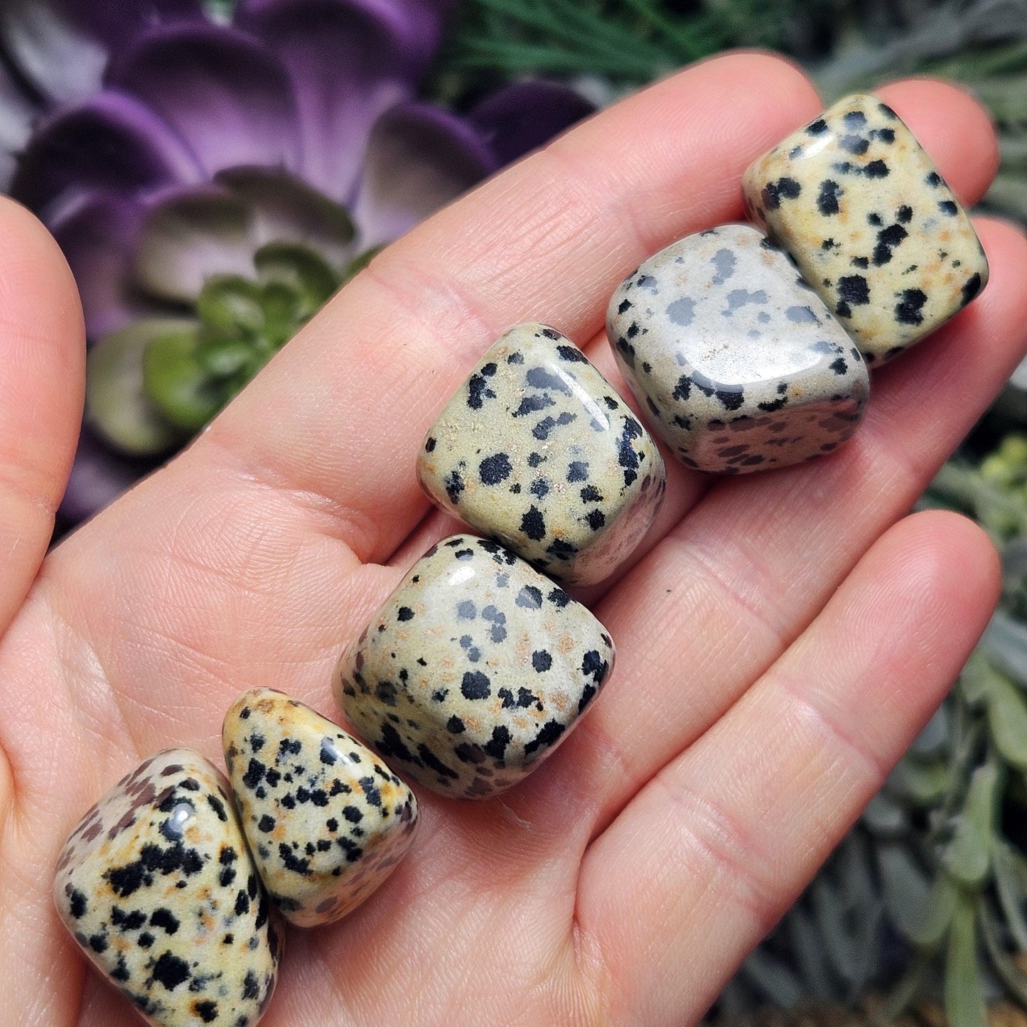 Dalmatian Jasper Stone
