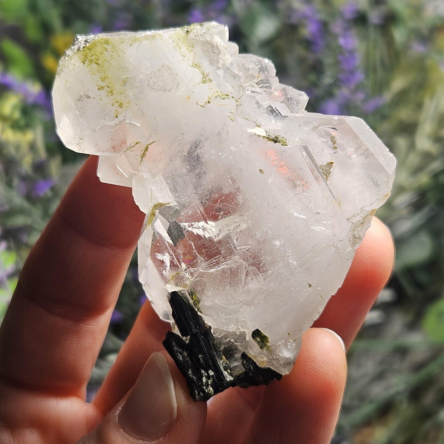 RARE Faden Dream Quartz