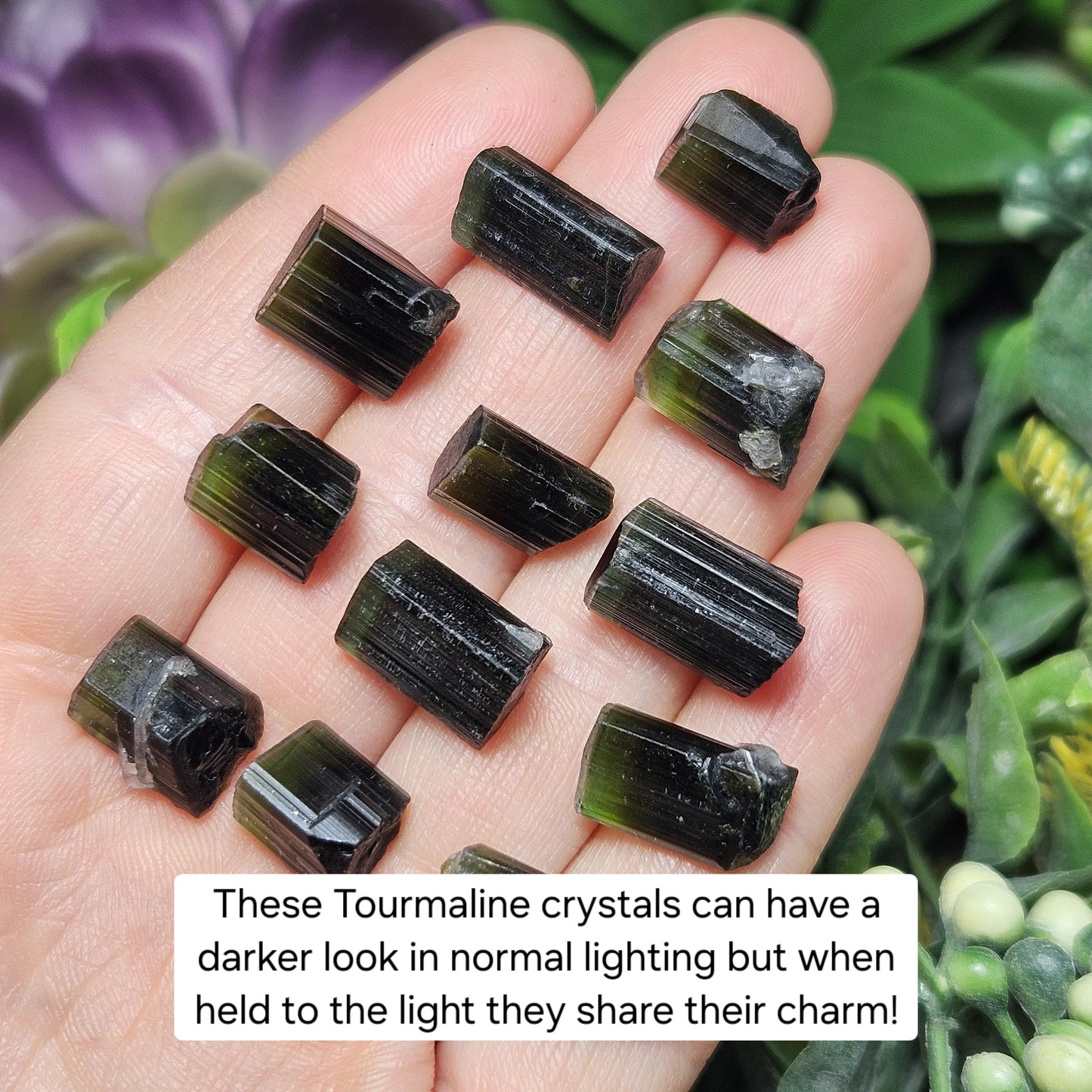 Bicolor Green Tourmaline Crystal