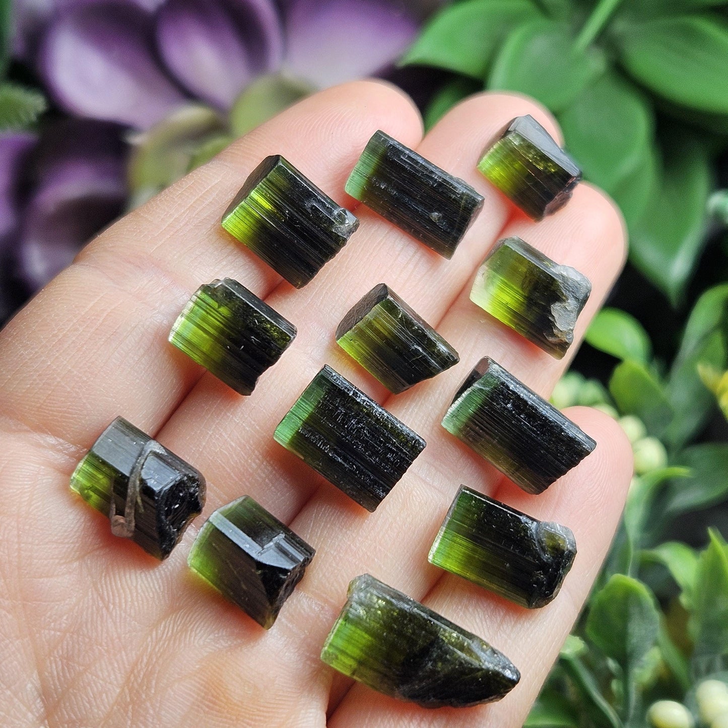 Bicolor Green Tourmaline Crystal