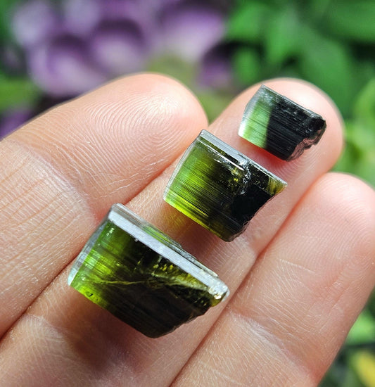 Bicolor Green Tourmaline Crystal