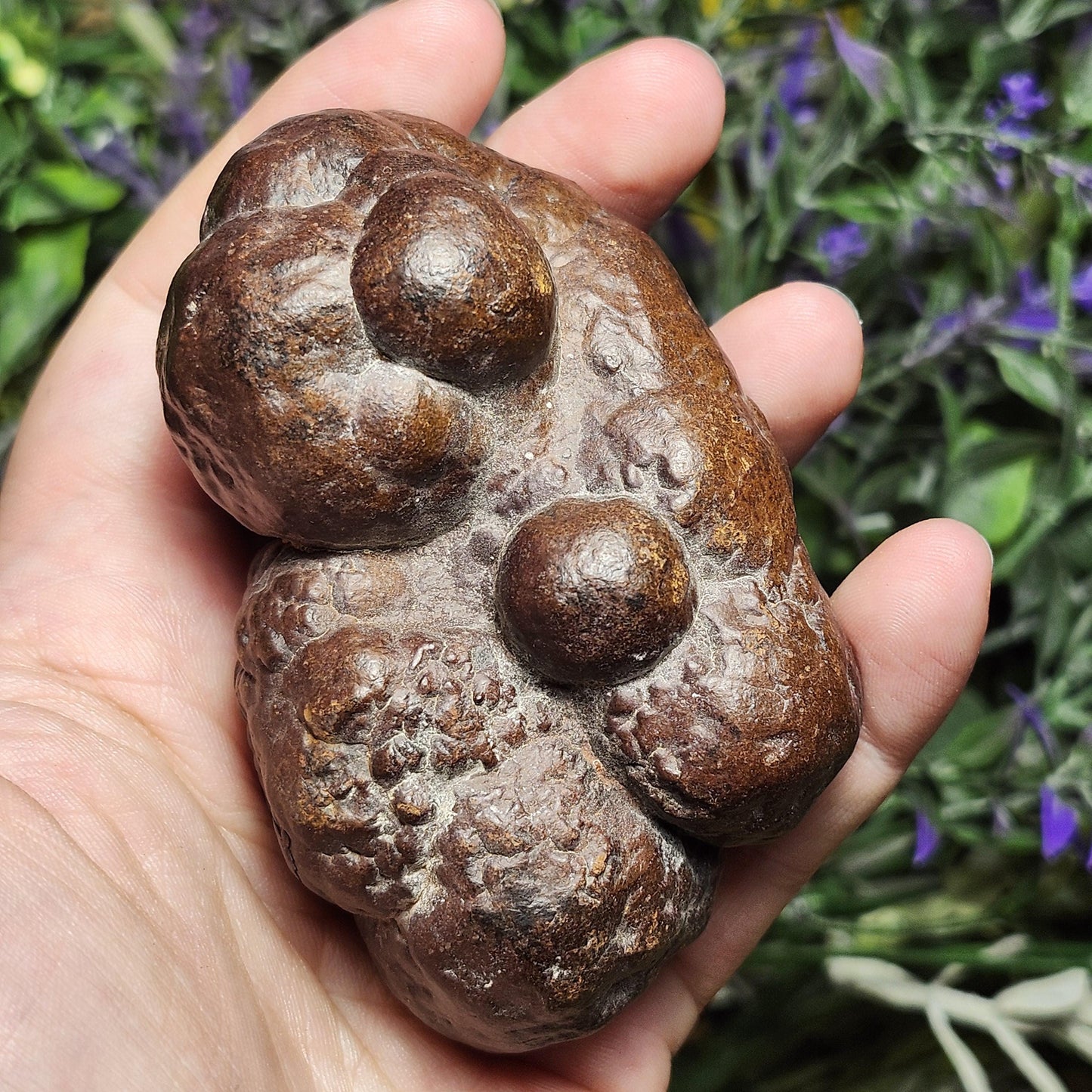 HUGE Prophecy Stone