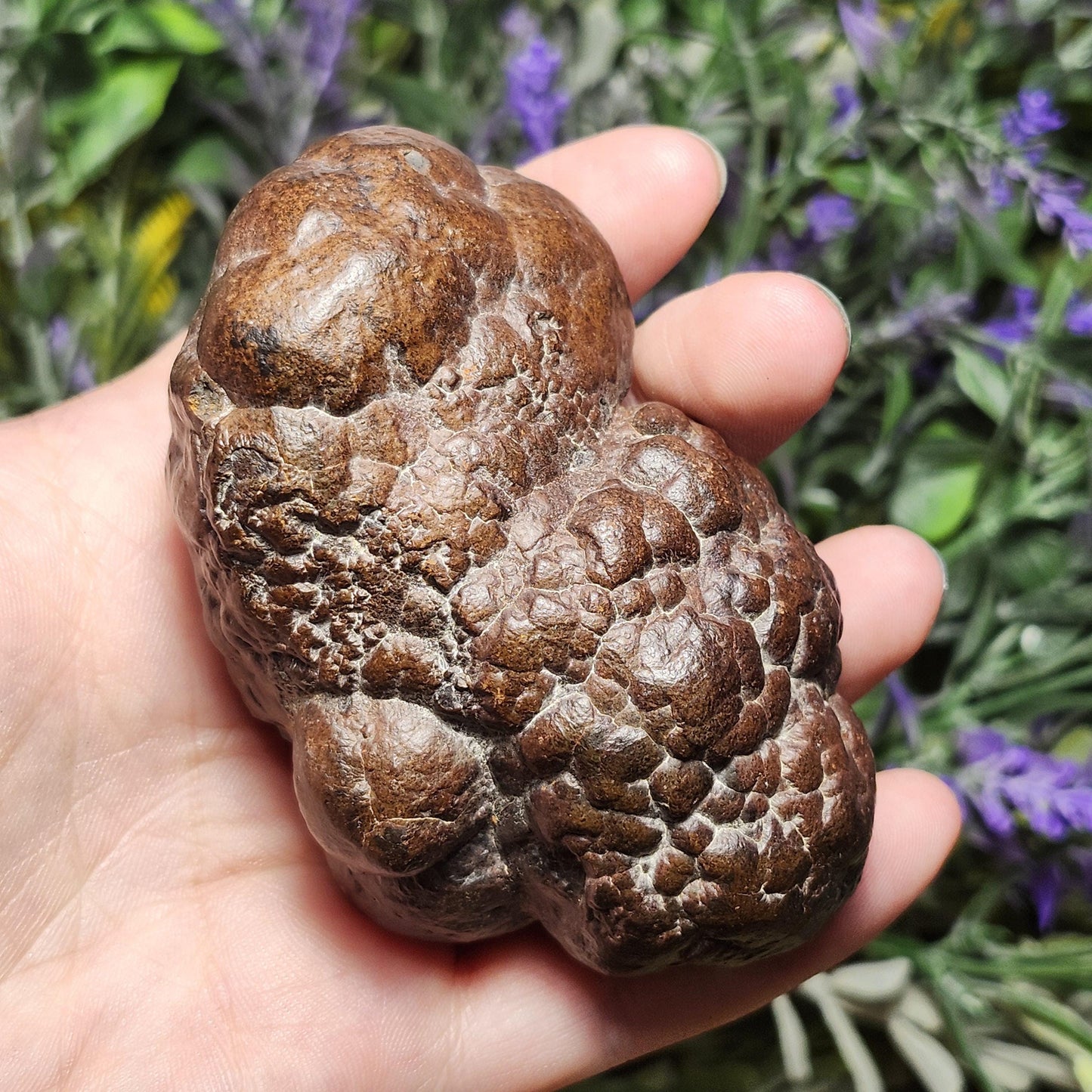 HUGE Prophecy Stone