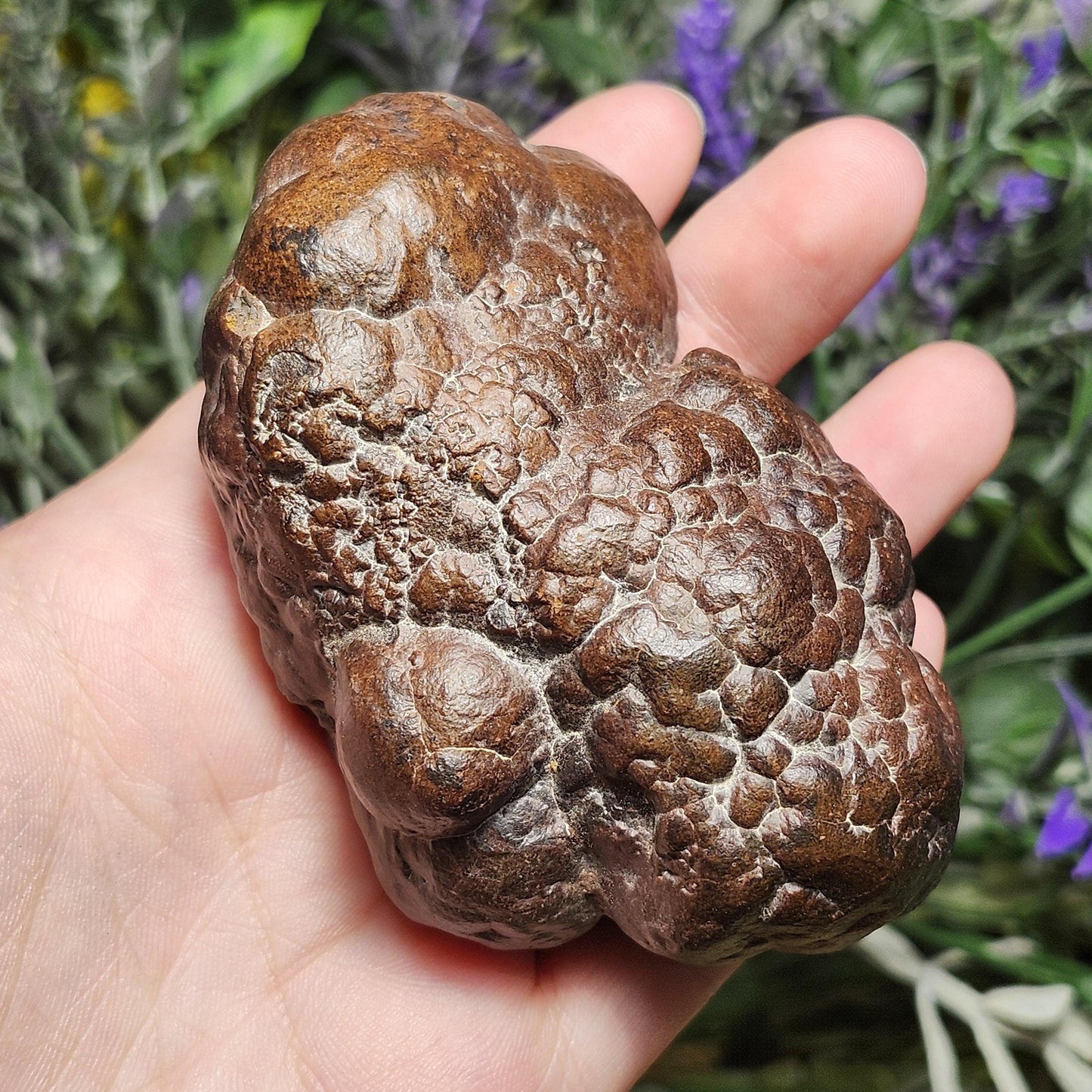 HUGE Prophecy Stone