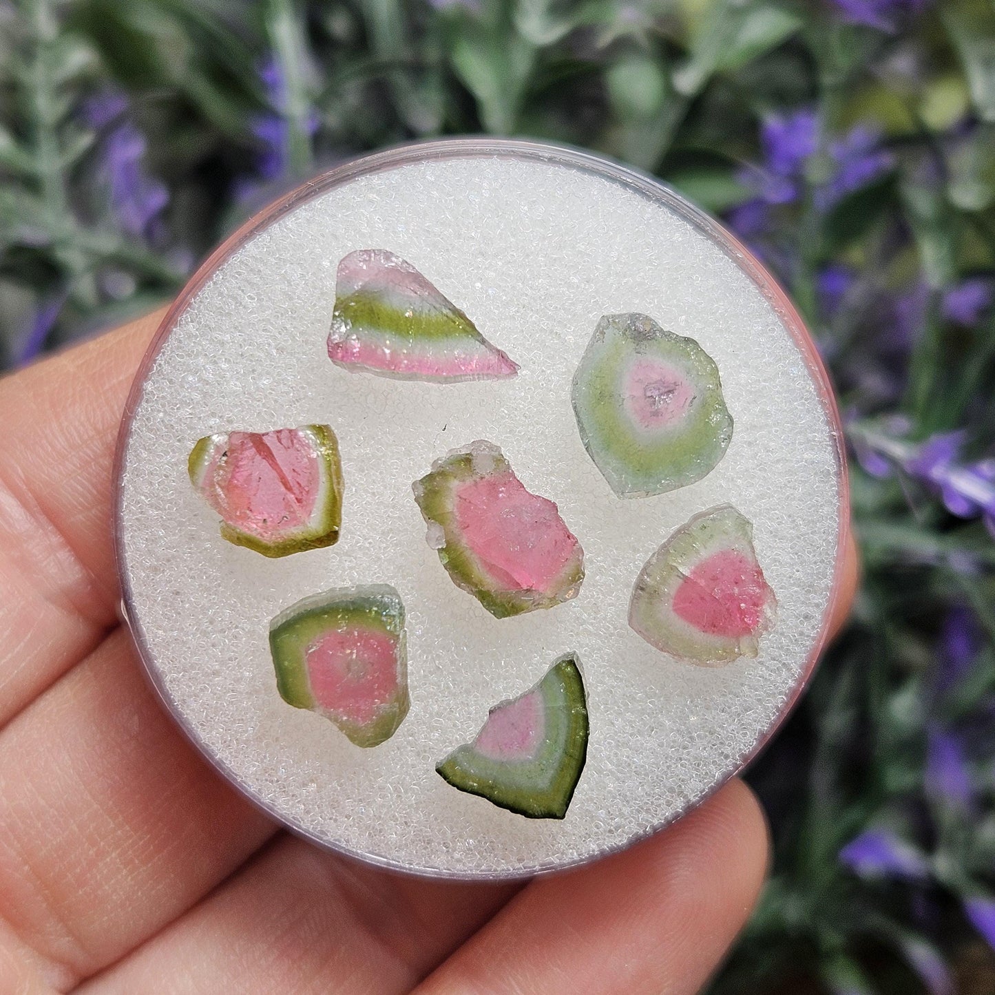 Watermelon Tourmaline Slice