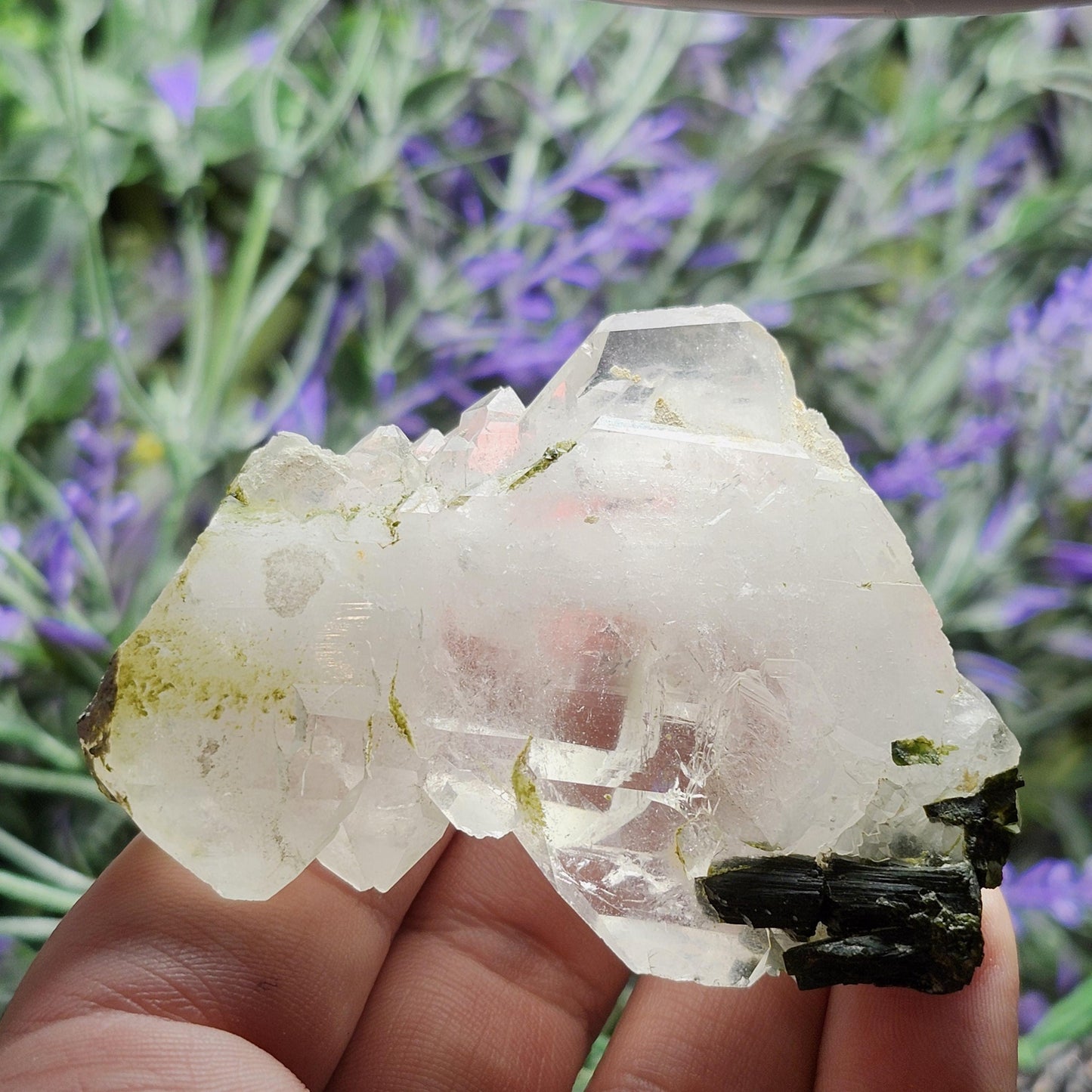 RARE Faden Dream Quartz