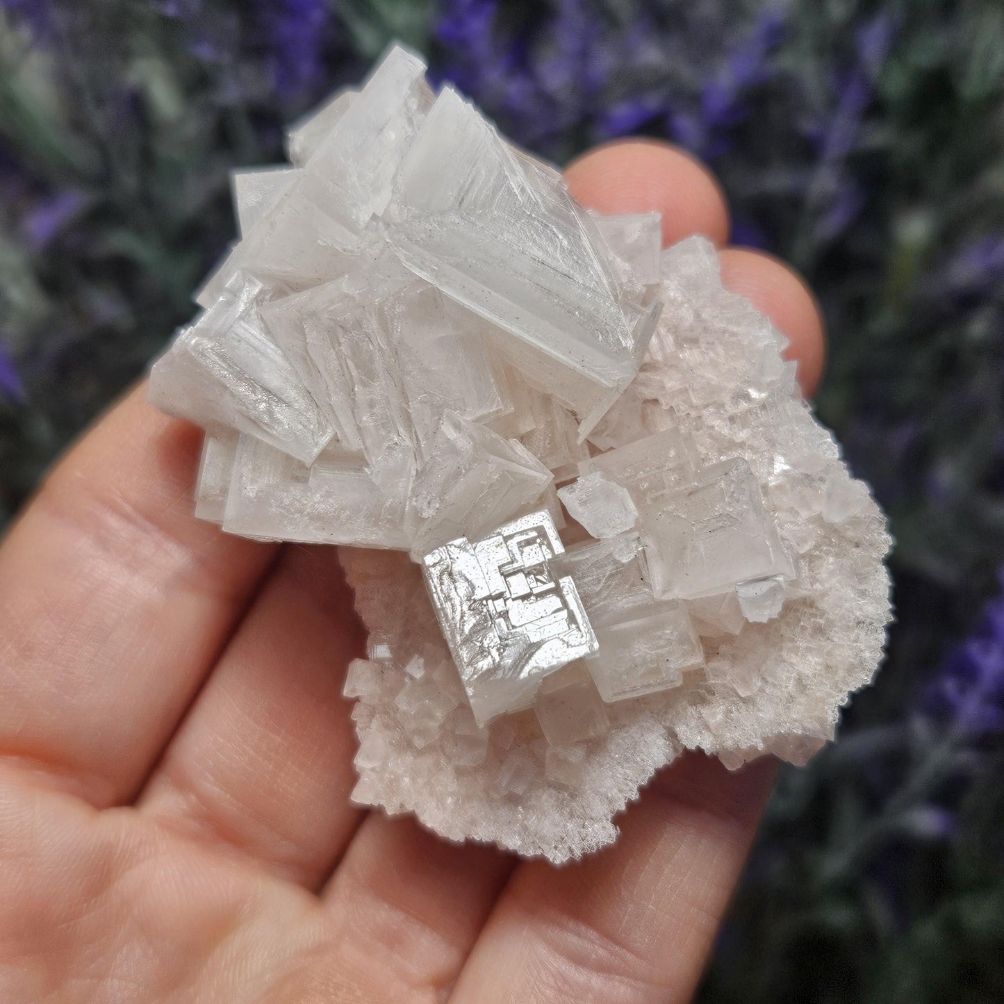 Pink Halite
