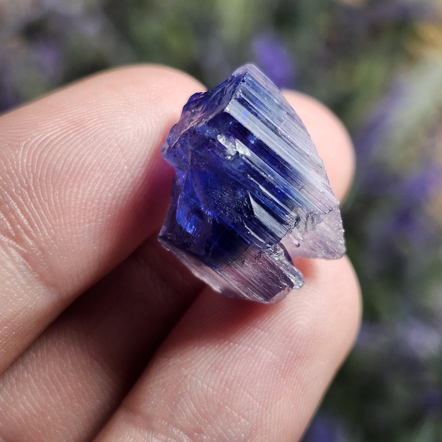 INDIGO Bicolored Tanzanite Crystal