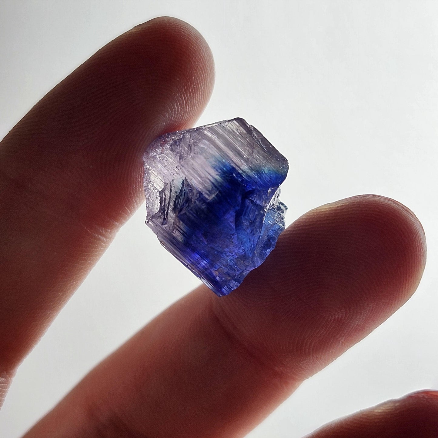 INDIGO Bicolored Tanzanite Crystal
