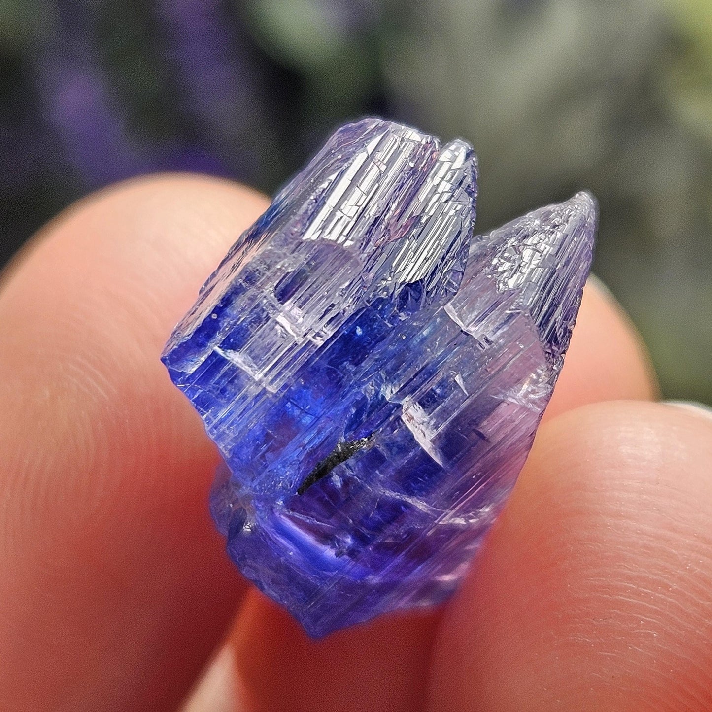 INDIGO Bicolored Tanzanite Crystal