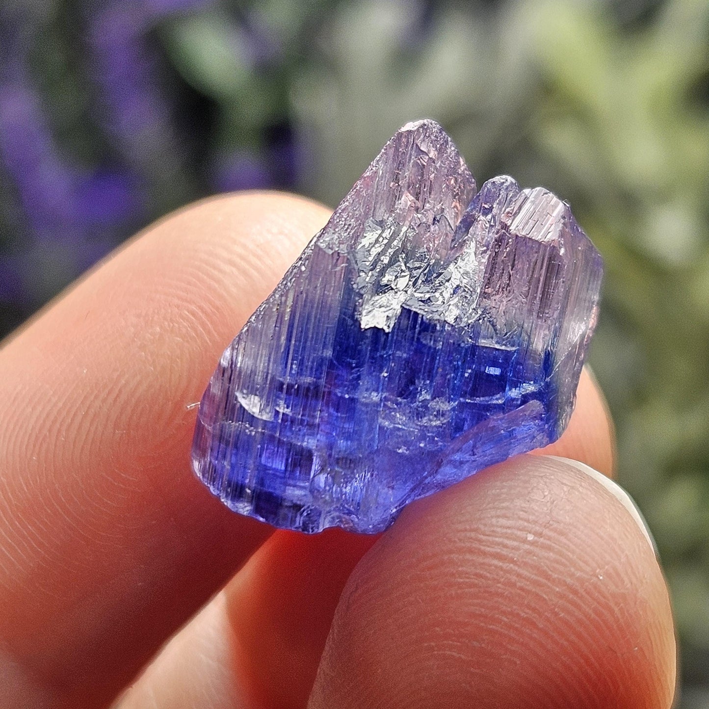 INDIGO Bicolored Tanzanite Crystal