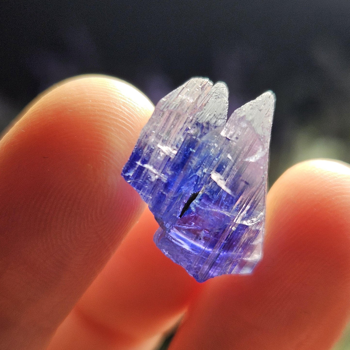 INDIGO Bicolored Tanzanite Crystal