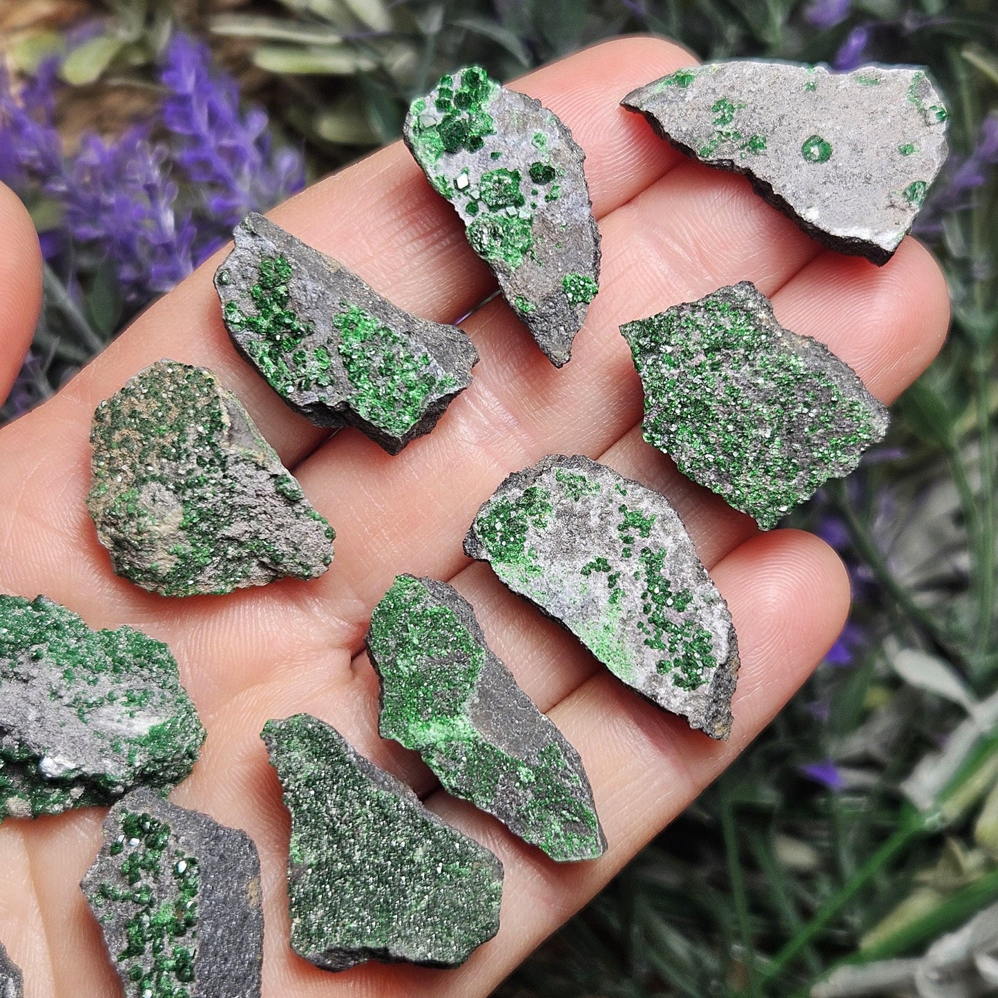 Uvarovite Druzy Garnet Crystal
