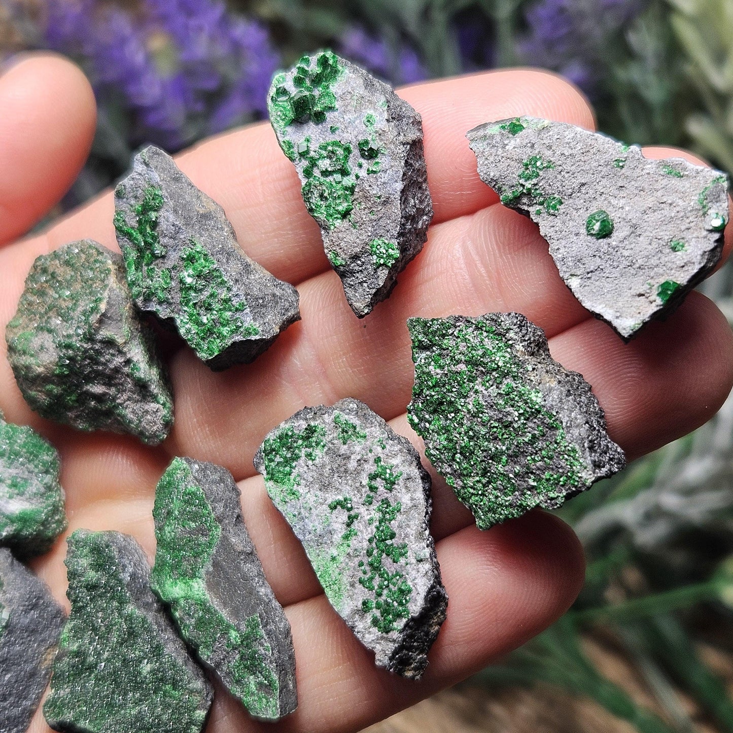 Uvarovite Druzy Garnet Crystal