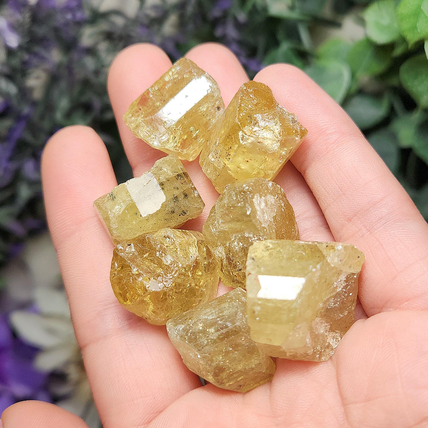XL Apatite Crystal