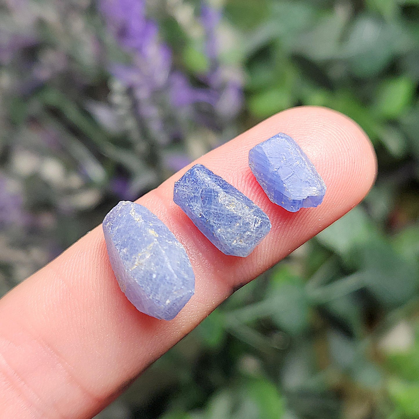 Blue Sapphire