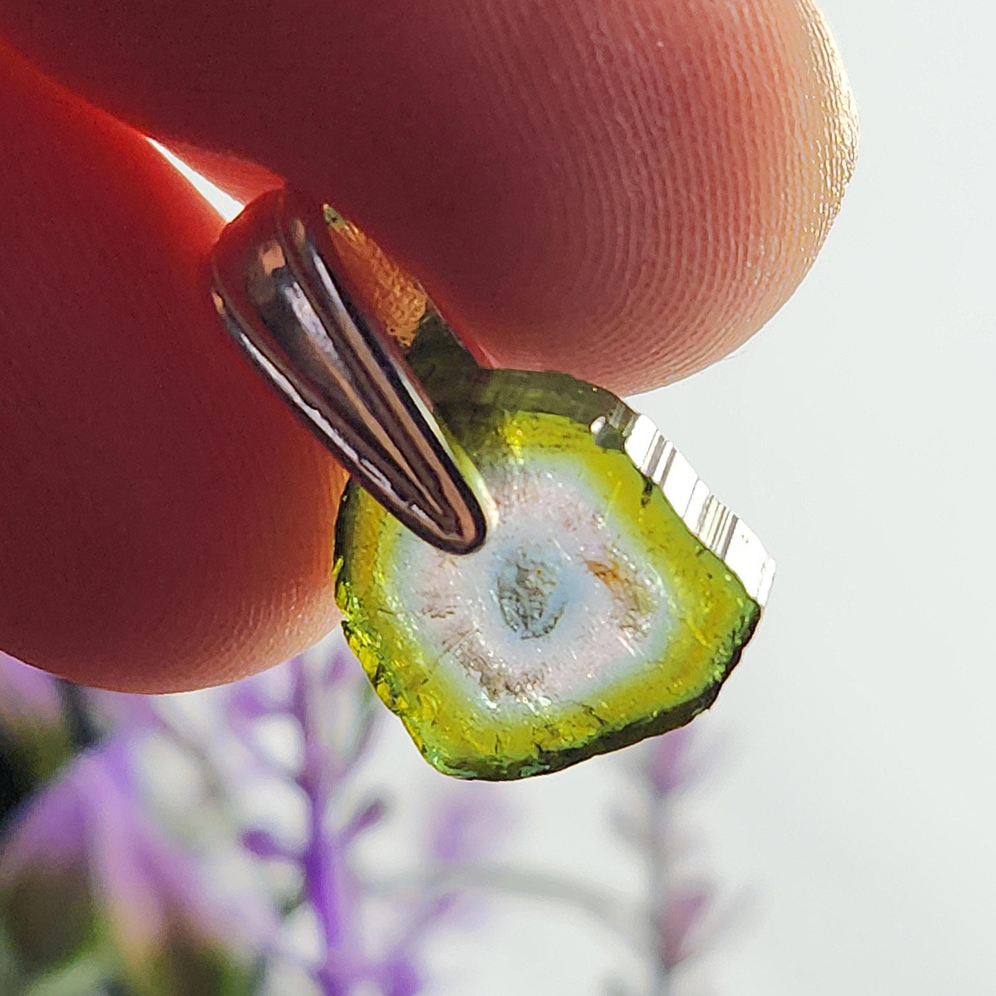 Watermelon Tourmaline Pendant