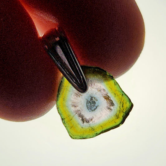 Watermelon Tourmaline Slice Pendant