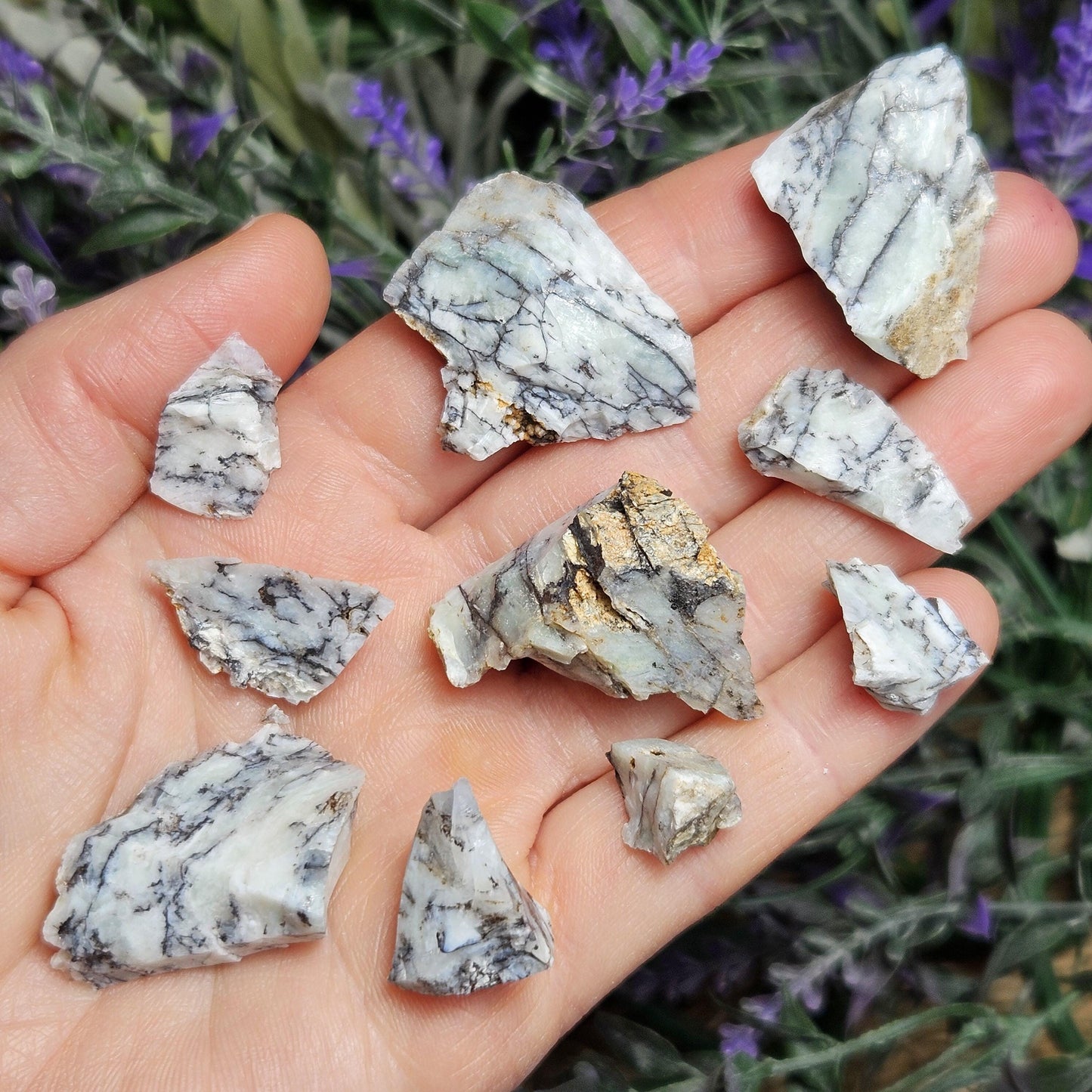 RARE Mount Shasta Opal Specimen