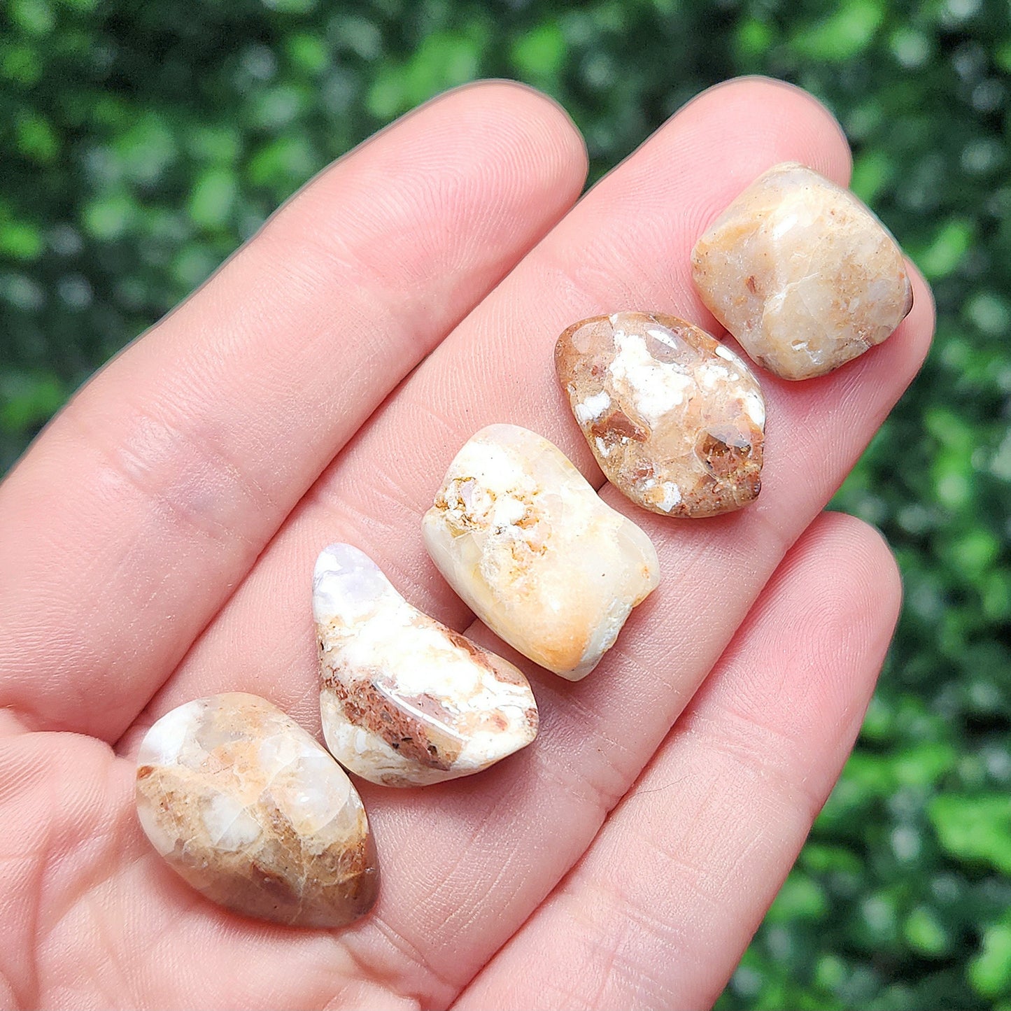 Golden Healer Opal