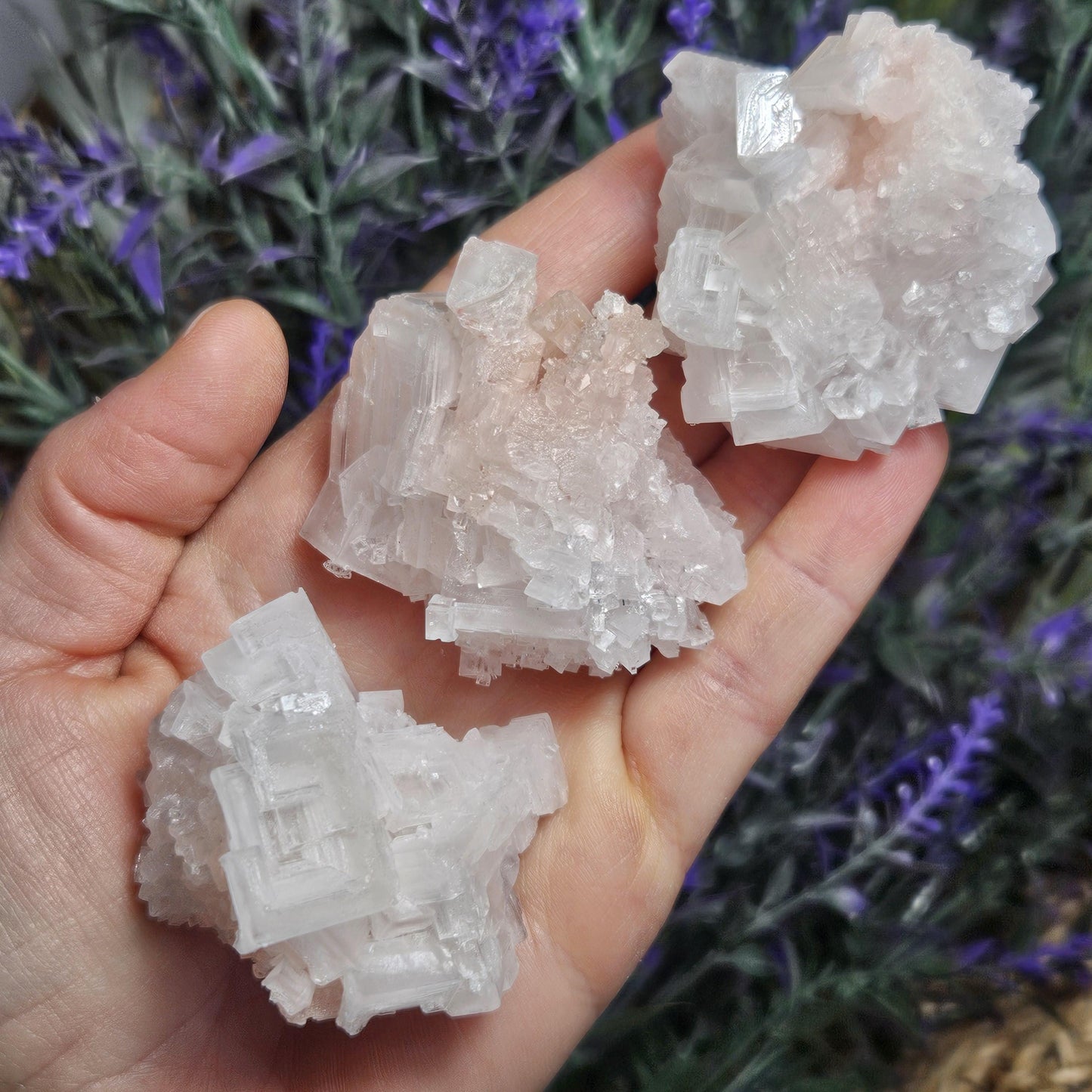 Pink Halite