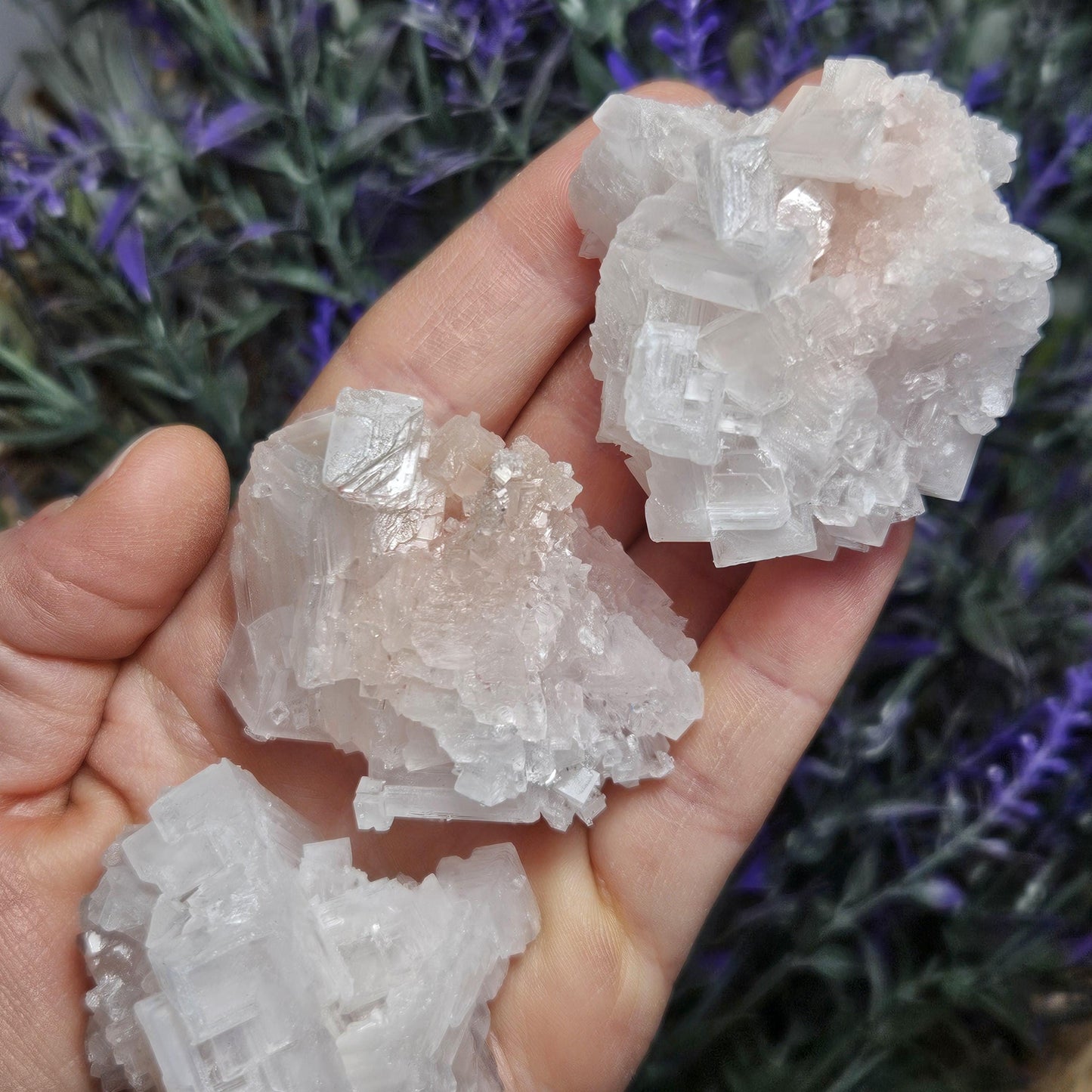 Pink Halite