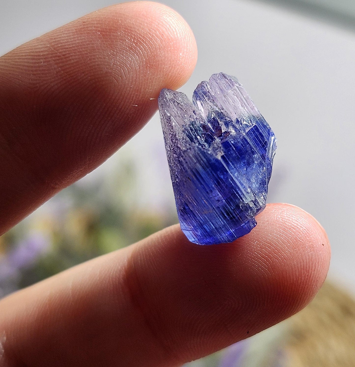 INDIGO Bicolored Tanzanite Crystal