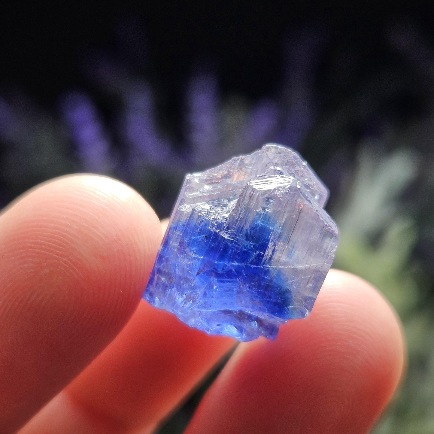 INDIGO Bicolored Tanzanite Crystal