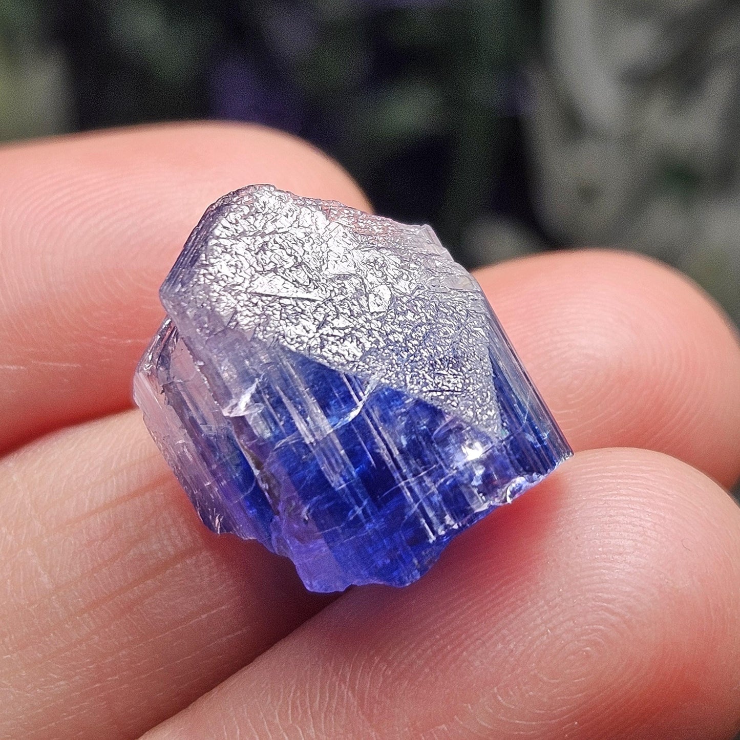 INDIGO Bicolored Tanzanite Crystal