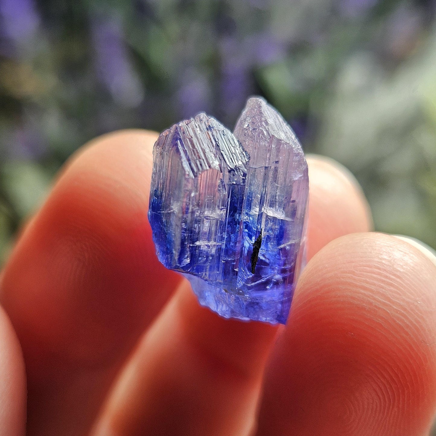 INDIGO Bicolored Tanzanite Crystal