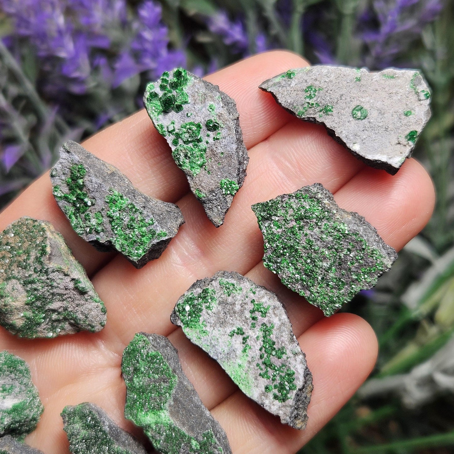 Uvarovite Druzy Garnet Crystal